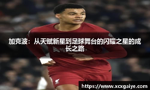 加克波：从天赋新星到足球舞台的闪耀之星的成长之路